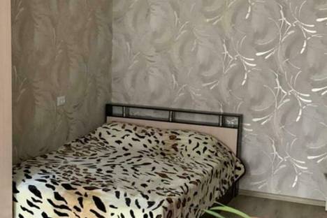 Однокомнатная квартира в аренду посуточно в Краснодаре по адресу ул. Красных Партизан, 157