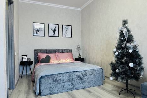 Однокомнатная квартира в аренду посуточно в Новосибирске по адресу ул. Ясный б-г, 17