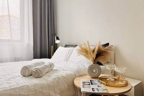 Однокомнатная квартира в аренду посуточно в Новосибирске по адресу ул. Ясный б-г, 12