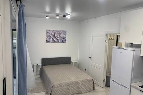 1-комнатная квартира в Санкт-Петербурге, Санкт-Петербург, пр-кт Обуховской Обороны, 36