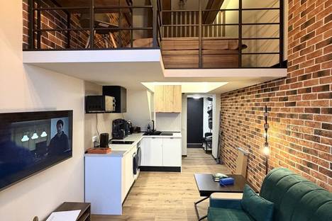 Однокомнатная квартира в аренду посуточно в Санкт-Петербурге по адресу Прилукская ул., 35