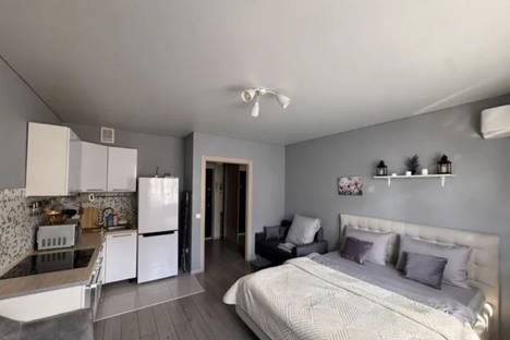 1-комнатная квартира в Батайске, Батайск, ул. Половинко, 280/10к2