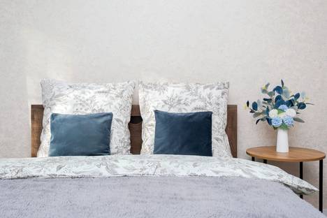 Однокомнатная квартира в аренду посуточно в Калининграде по адресу ул. Багратиона, 5