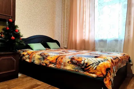 1-комнатная квартира в Казани, пр-кт Победы, 42