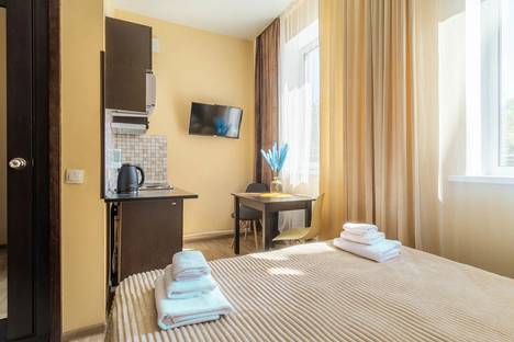 1-комнатная квартира в Нижнем Новгороде, Зелёная ул., 2А