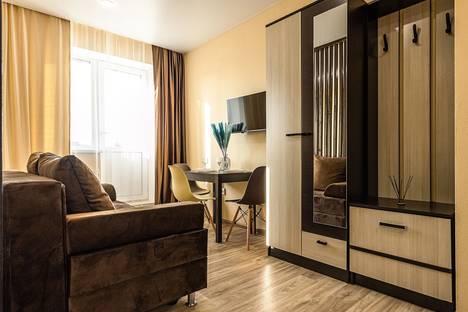 1-комнатная квартира в Нижнем Новгороде, Зелёная ул., 2А