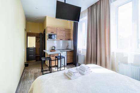 1-комнатная квартира в Нижнем Новгороде, Зелёная ул., 2А