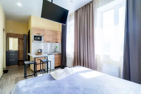 1-комнатная квартира в Нижнем Новгороде, Нижний Новгород, Зелёная ул., 2А