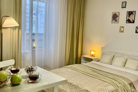 1-комнатная квартира в поселке Песочном, пос. Песочный, Садовая ул., 83