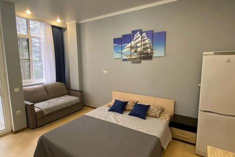 1-комнатная квартира в Адлере, ул. Просвещения, 118/1