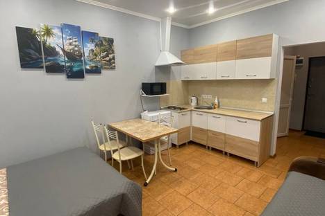 1-комнатная квартира в Адлере, ул. Просвещения, 118/1