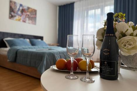 1-комнатная квартира в Нижнем Новгороде, ул. Родионова, 165к3