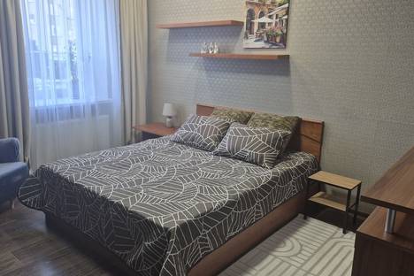 Однокомнатная квартира в аренду посуточно в Зеленоградске по адресу Московская ул., 64