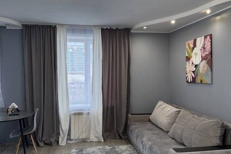 1-комнатная квартира в Новосибирске, ул. Челюскинцев, 14