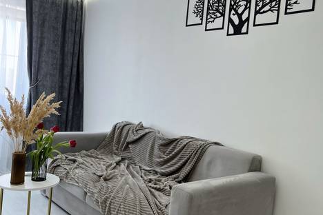 1-комнатная квартира в Казани, Казань, Чистопольская ул., 61Д