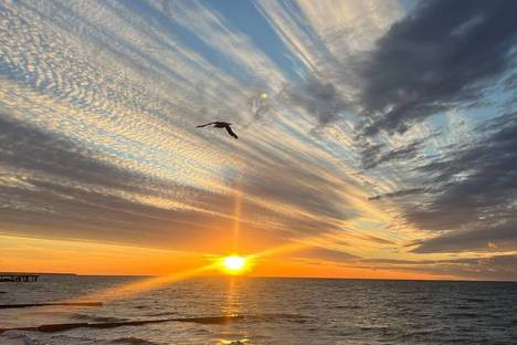 1-комнатная квартира в Зеленоградске, ул. Героя России Александра Прохоренко, 1