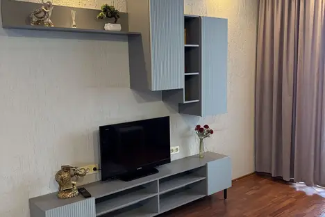 2-комнатная квартира в Новосибирске, ул. Челюскинцев, 30/1