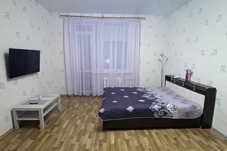 Однокомнатная квартира в аренду посуточно в Орле по адресу наб. Дубровинского, 74