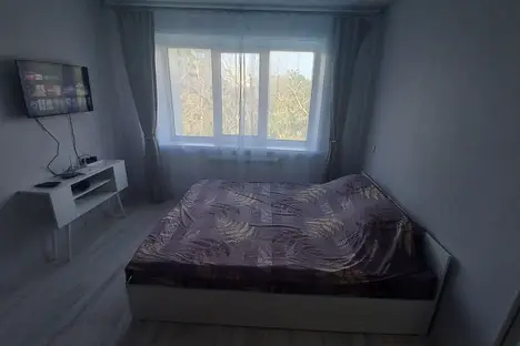 1-комнатная квартира в Тамбове, Тамбов, Мичуринская ул., 141