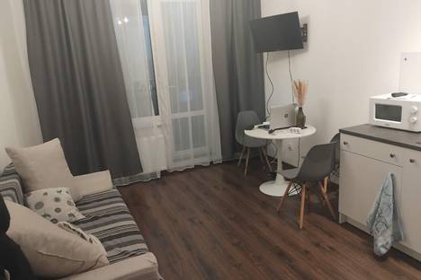 1-комнатная квартира в Санкт-Петербурге, Торфяная дор., 15к3