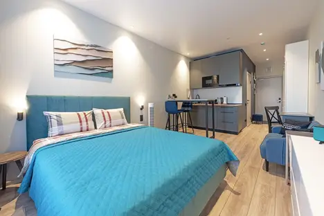 1-комнатная квартира в Санкт-Петербурге, пр-кт Энергетиков, 8к2