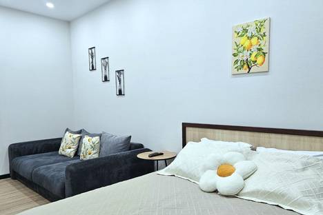 Однокомнатная квартира в аренду посуточно в Волгограде по адресу ул. Землячки, 84/1