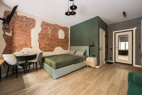 Однокомнатная квартира в аренду посуточно в Санкт-Петербурге по адресу ул. Чехова, 3