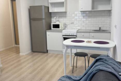 1-комнатная квартира в Екатеринбурге, ул. Евгения Савкова, 35