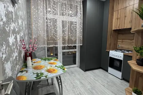 1-комнатная квартира в Ростове-на-Дону, Берберовская ул., 19с2