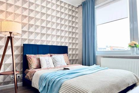 Однокомнатная квартира в аренду посуточно в Московской области по адресу муниципальный округ Истра, д. Красный п., ул. Конюхова, 17