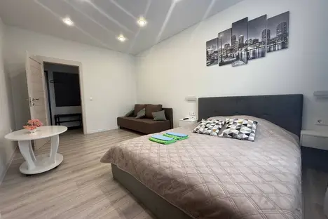 1-комнатная квартира в Кингисеппе, Крикковское ш., 34