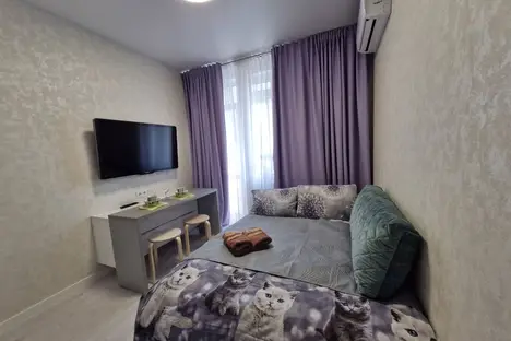 1-комнатная квартира в Мытищах, Мытищи, ул. Академика Каргина, 25