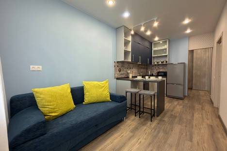 1-комнатная квартира в Новосибирске, ул. Ясный б-г, 8