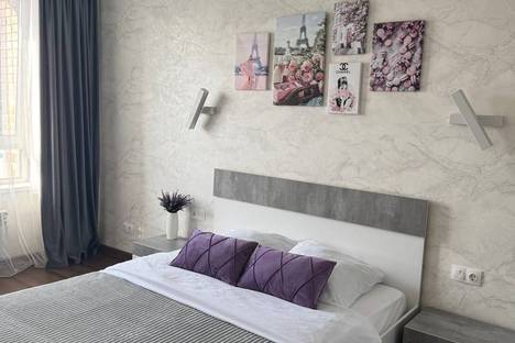 Однокомнатная квартира в аренду посуточно в Иркутске по адресу ул. Пушкина, 11