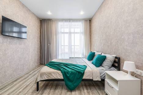 Однокомнатная квартира в аренду посуточно в Казани по адресу ул. Алексея Козина, 9