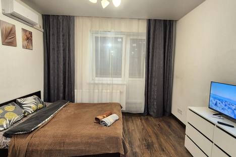 1-комнатная квартира в Пушкино, Пушкино, ул. Александра Меня, 1