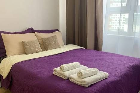 1-комнатная квартира в Москве, Москва, р-н  Троицк, 3-я Нововатутинская ул., 15к1