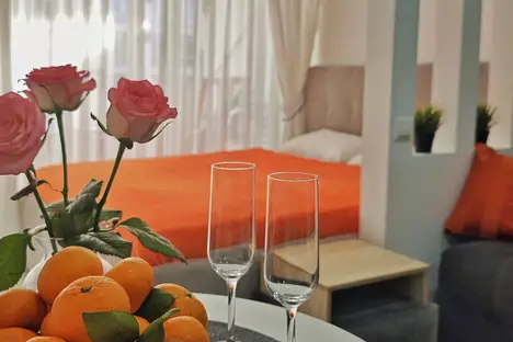 1-комнатная квартира в Сириусе, Цветочная ул., 17/7