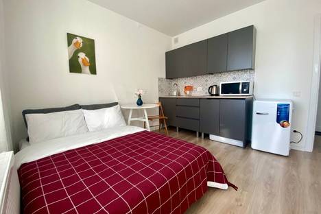 Однокомнатная квартира в аренду посуточно в Санкт-Петербурге по адресу Пахомовская ул., 25