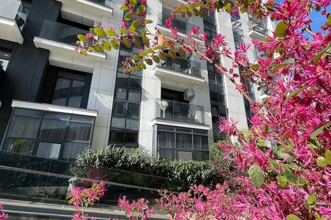 Комната в Сочи, ул. Яна Фабрициуса, 2/17