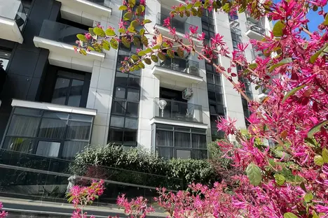 Комната в Сочи, ул. Яна Фабрициуса, 2/17