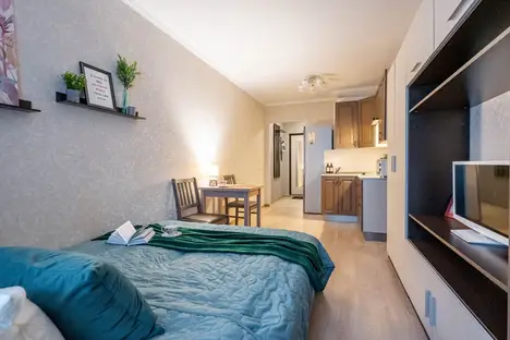 1-комнатная квартира в Мурино, Воронцовский б-р, 17