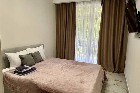 1-комнатная квартира в Адлере, Адлер, Медовая ул., 76/3