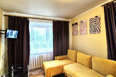 Однокомнатная квартира в аренду посуточно в Пушкино по адресу ул. Тургенева, 4