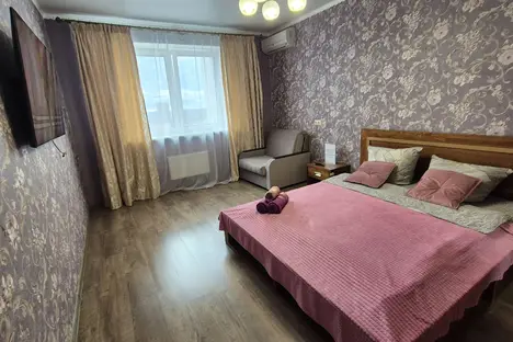1-комнатная квартира в Пушкино, ул. Чехова, 1к1