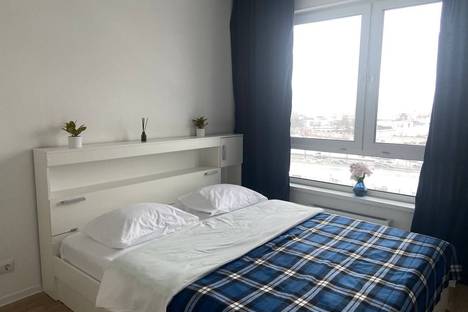 Однокомнатная квартира в аренду посуточно в Санкт-Петербурге по адресу Лиговский пр-кт, 242