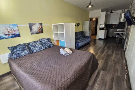 1-комнатная квартира в Московской области, Московская область, г.о. Пушкинский, пгт. Зеленоградский, Шоссейная ул., 1