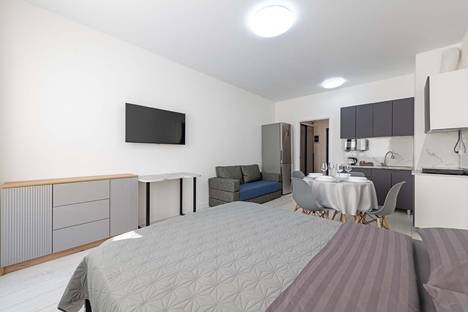 1-комнатная квартира в Санкт-Петербурге, Белевский пер., 4