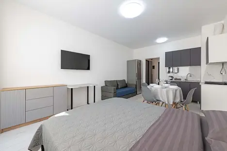 1-комнатная квартира в Санкт-Петербурге, Белевский пер., 4