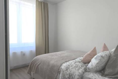 1-комнатная квартира в поселке Песочном, Садовая ул., 77